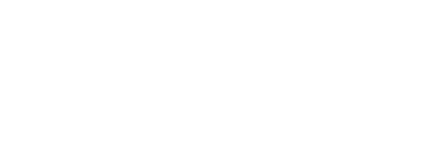 Phoenix Project Management Services